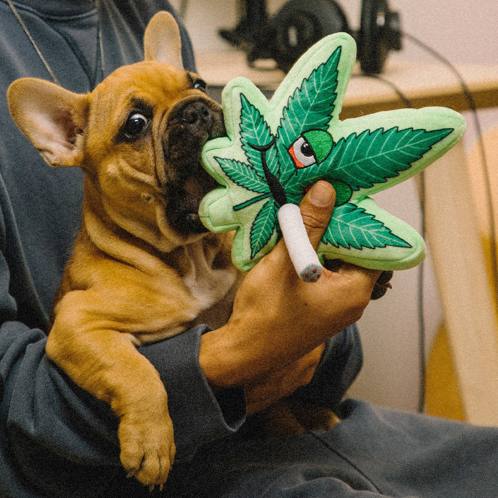 Sweet Leaf Plush Dog Toy