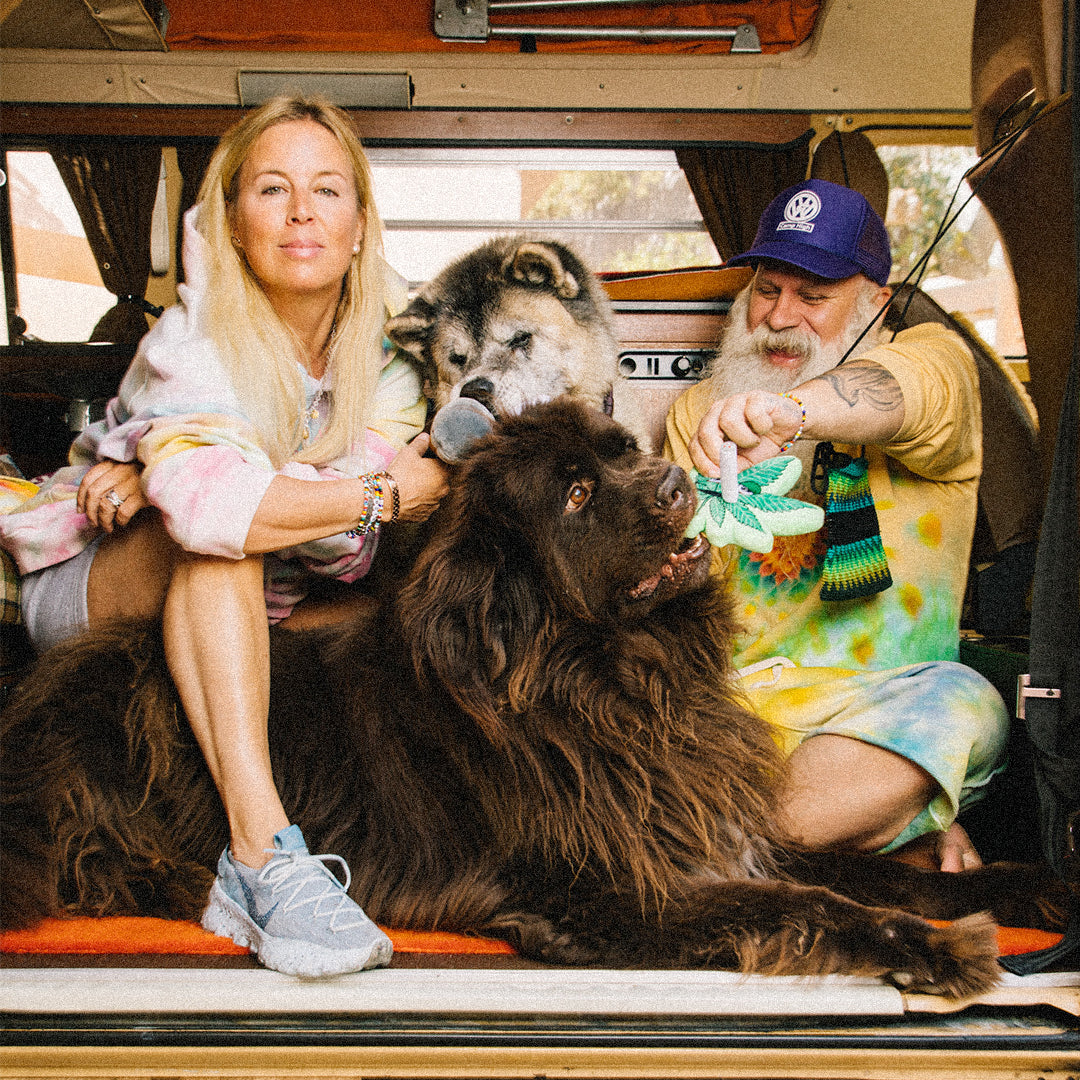 People With Cool Dogs: Camp High