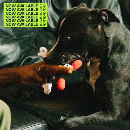 Blunt Man Plush Dog Toy