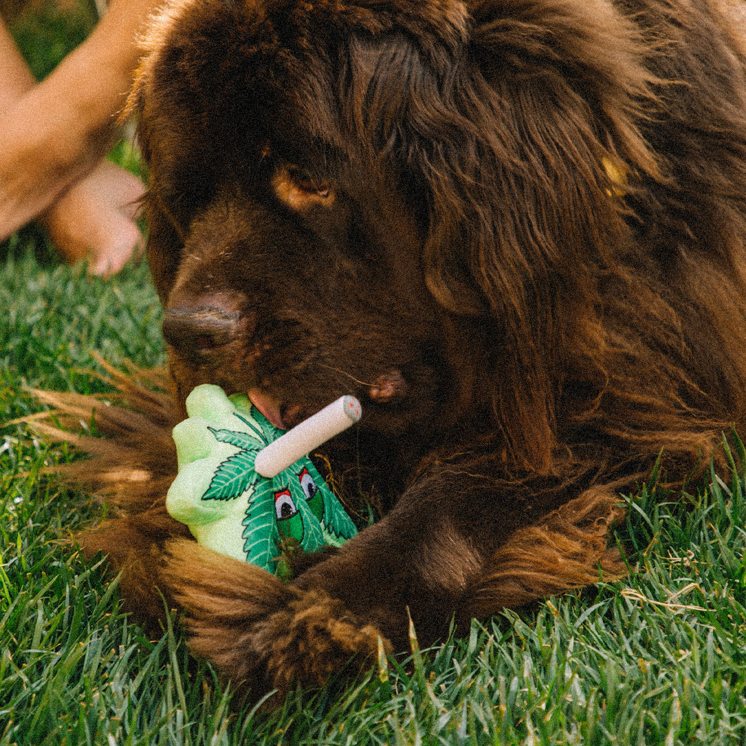 Sweet Leaf Plush Collectible