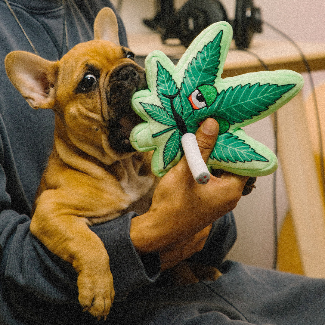 Sweet Leaf Plush Collectible